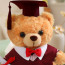Light Brown Graduation Bear with Robe Soft Stuffed Plush 25cm 9.84inches Blue Black Red