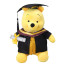 Winnie The Pooh Graduation Soft Stuffed Plush 30cm 11.81inches