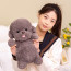 Poodle Dog Soft Stuffed Plush Multiple Sizes Brown