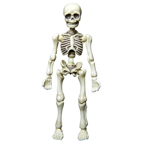 Pose Skeleton Man by Re-Ment