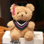 Fluffy Graduation Bear with Congrats Scarf Soft Stuffed Plush 23cm 9 inches Yellow Blue Pink Red