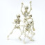 Pose Skeleton Man by Re-Ment