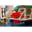 Ideas River Steamboat 21356 Brick Building Kit