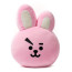 BT21 Line Friends Cooky Decorative Throw Pillow Cushion 11 Inch 30cm