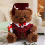 Dark Brown Graduation Bear with Robe Soft Stuffed Plush 25cm 9.84inches Blue Black Red