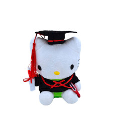 Hello Kitty Graduation Memorial Plush Toy
