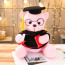 Graduation Bear Soft Stuffed Plush Pink