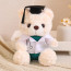 Light Brown Graduation Bear in Medical Doctor Robe Soft Stuffed Plush 23cm 9 inches Pink Green