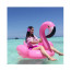 Giant Inflatable Flamingo 60 inch 150cm Ride-On Pool Toy