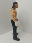 WWE Matt Hardy Action Figure