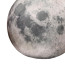 The Moon Plush Toy 17cm 6.7inches
