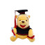 Disney Winnie The Pooh Graduation Memorial Plush Toy