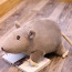 Gosig Ratta Rat Grey Plush Toy 20cm 7.9inches