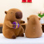 Capybara Holding NBA Basketball Soft Stuffed Plush Multiple Sizes Purple