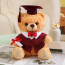 Light Brown Graduation Bear with Robe Soft Stuffed Plush 25cm 9.84inches Blue Black Red
