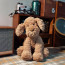 Jellycat Fuddlewuddle Puppy Soft Stuffed Plush 23cm 9.05inches
