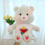 Care Bears True Heart Bear Plush Toy
