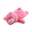 Sleeping Lotso From Disney Plush Toy