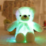 White Glowing Teddy Bear Plush Toy 50cm 16.98inches