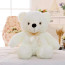White Glowing Teddy Bear Plush Toy 50cm 16.98inches