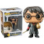 Funko Pop Harry Potter with Golden Egg #26 Vinyl Figure