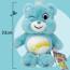Care Bears Wish Bear Plush Toy