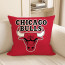 Chicago Bulls NBA Team Logo Soft Stuffed Plush Pillow Multiple Sizes