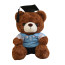 Dark Brown Graduation Bear in Polo Shirt Soft Stuffed Plush 23cm 9 inches Blue Pink Orange Yellow Green