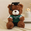 Dark Brown Graduation Bear in Polo Shirt Soft Stuffed Plush 23cm 9 inches Blue Pink Orange Yellow Green