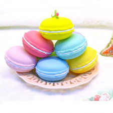 Box of 6 Macarons With Slime