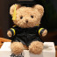 Fluffy Graduation Bear with Robe Soft Stuffed Plush 23cm 9 inches Yellow Blue Pink Red