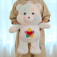 Care Bears True Heart Bear Plush Toy