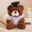 Brown Graduation Bear in Medical Doctor Robe Soft Stuffed Plush 23cm 9 inches Pink Green