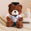 Brown Graduation Bear in Medical Doctor Robe Soft Stuffed Plush 23cm 9 inches Pink Green