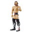 WWE Bryan Danielson Action Figure