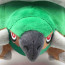 Torterra From Pokemon Plush Toy