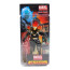 Marvel Universe Legends Ghost Rider Action Figure