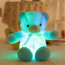 Blue Glowing Teddy Bear Plush Toy 30cm 11.8inches