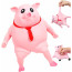 TikTok Pig Stress Toy - Pig Squishy Toy