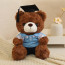 Dark Brown Graduation Bear in Polo Shirt Soft Stuffed Plush 23cm 9 inches Blue Pink Orange Yellow Green