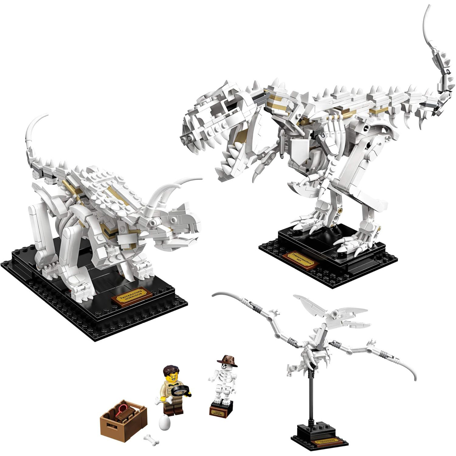 Ideas Dinosaur Fossils 21320 Brick Building Kit