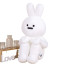 White Rabbit From Hangfook Plush Toy