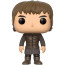 Funko Pop Bran Stark #52 Vinyl Figure