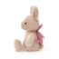 Jellycat Backpack Bunny Soft Stuffed Plush 22cm 8.66inches