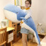 Whale Soft Stuffed Plush with Washable Cover Multiple Sizes Blue