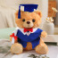 Light Brown Graduation Bear with Robe Soft Stuffed Plush 25cm 9.84inches Blue Black Red