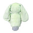Knuffle Bunny Soft Stuffed Plush 35cm 13.77inches