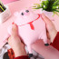TikTok Pig Stress Toy - Pig Squishy Toy