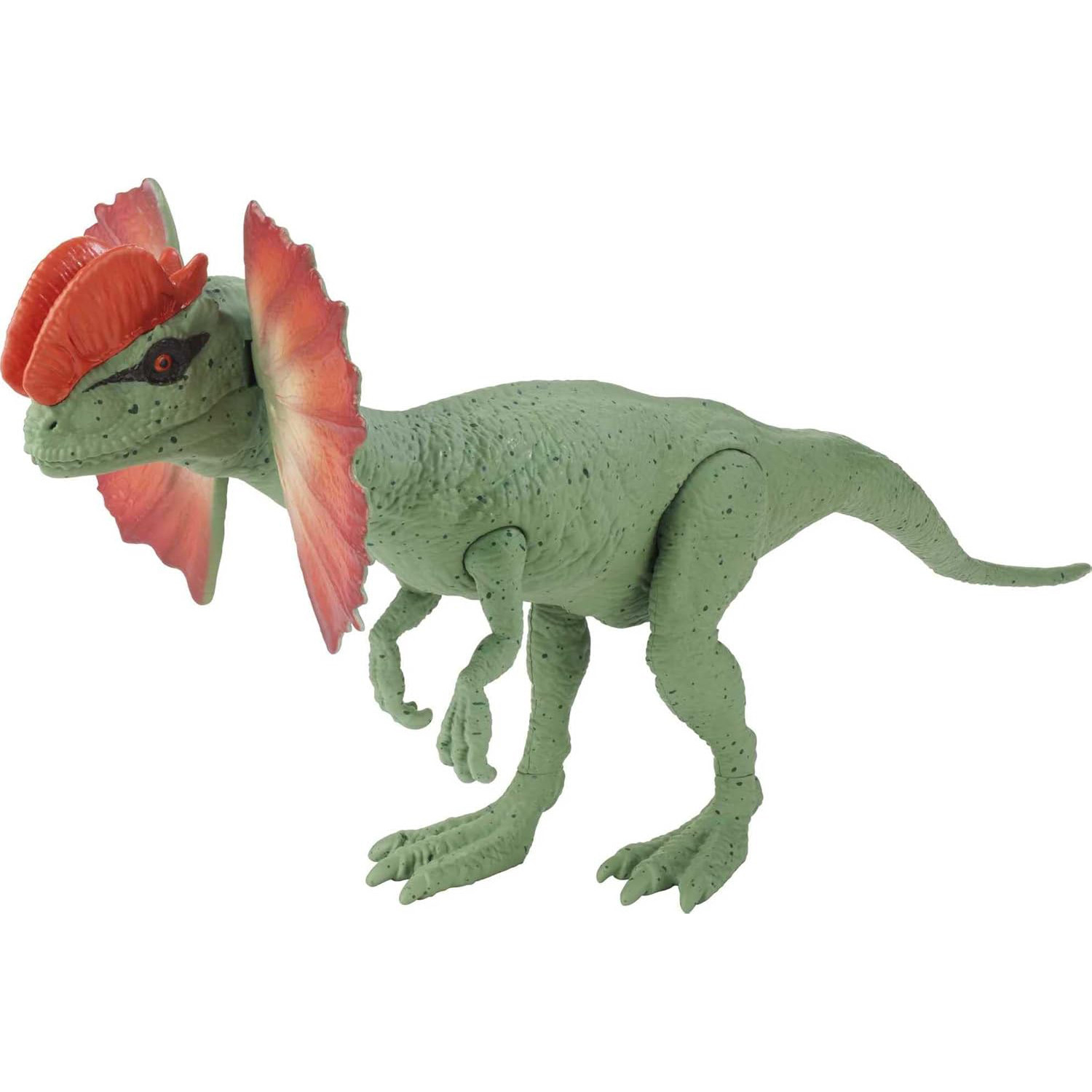 Jurassic World Dominion Dilophosaurus Dinosaur Action Figure 30cm 12inches