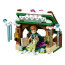 Disney Frozen Anna's Snow Adventure Building Kit